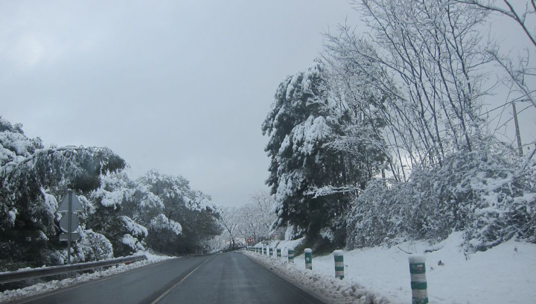 Nieve Nieve