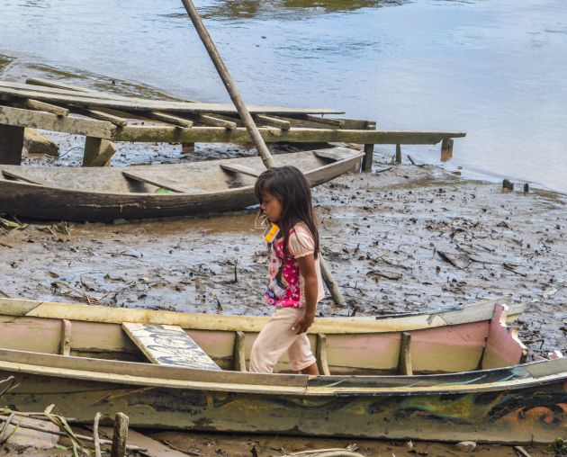 Por el momento tratarán de solucionar parte del problema en el Amazonas. Próximamente será en Madagascar. Por el momento tratarán de solucionar parte del problema en el Amazonas. Próximamente será en Madagascar.