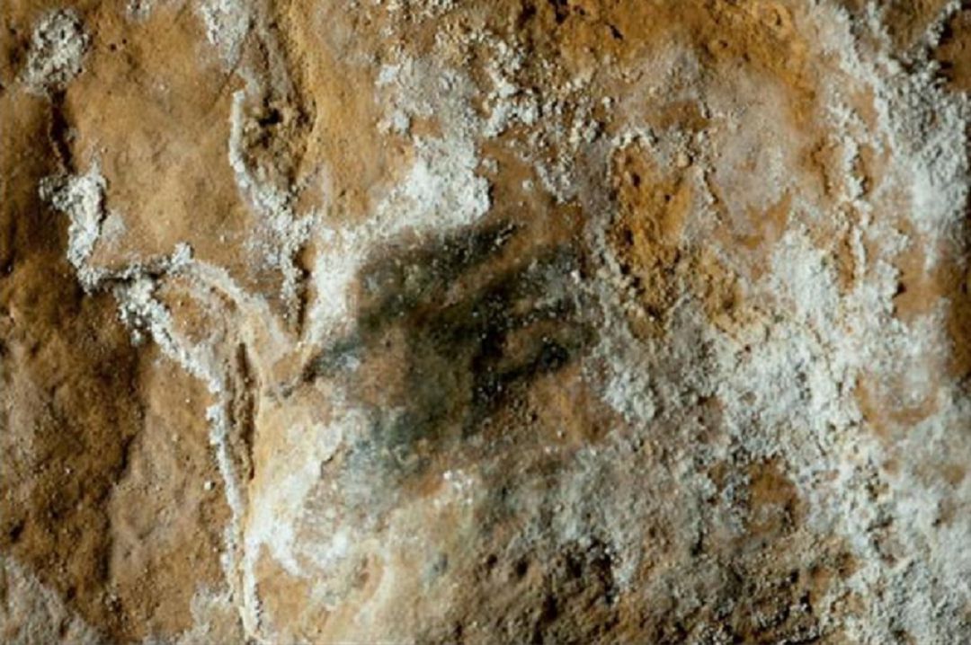 Una de las representaciones de manos en la cueva de Altamira. Una de las representaciones de manos en la cueva de Altamira.