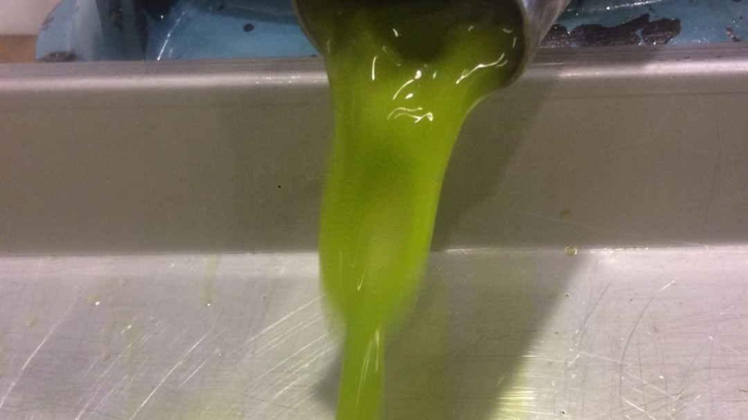 Recta final de la campaña de aceituna con precios bajos