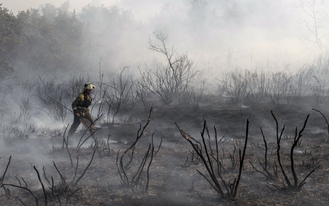 La actual Ley de Montes prohibe cualquier actividad en terrenos quemados durante los dos años siguientes La actual Ley de Montes prohibe cualquier actividad en terrenos quemados durante los dos años siguientes