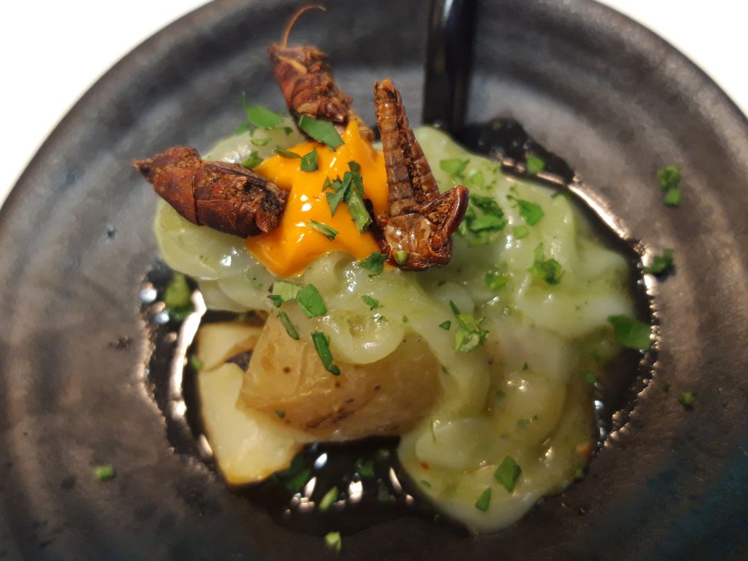 Chapulines con papas asadas, sepia y yema de huevo de corral. Chapulines con papas asadas, sepia y yema de huevo de corral.