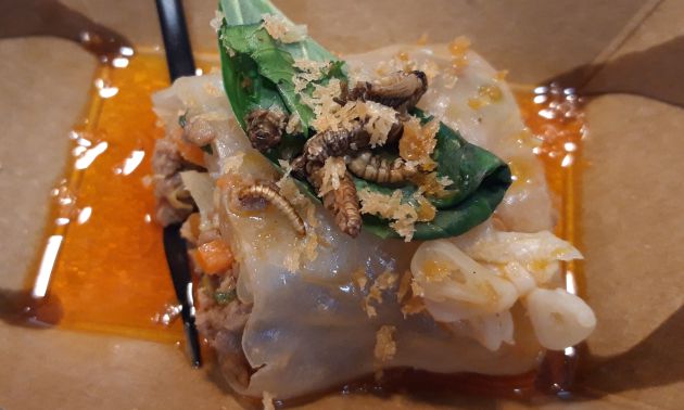 Rollito vietnamita con mix de gusanos. Rollito vietnamita con mix de gusanos.