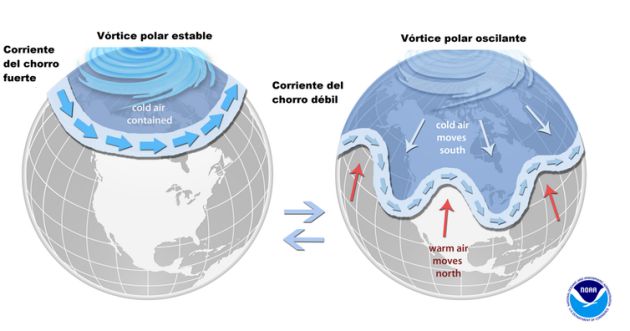 Figura 2. Diferencias entre la situación estable (izquierda) e inestable (derecha) del vórtice polar (vortex). El vórtice polar es una gran área de baja presión y aire frío que rodea ambos polos. En los vórtices, el flujo de aire en sentido contrario a las agujas del reloj ayuda a mantener el aire más frío cerca de los polos (globo izquierdo). Durante el invierno en el hemisferio norte y como consecuencia de la llamada ‘oscilación ártica’, el vórtice polar se vuelve menos estable y se expande, enviando aire frío del Ártico hacia el sur sobre los Estados Unidos mediante la denominada ‘corriente en chorro’ (derecha) Figura 2. Diferencias entre la situación estable (izquierda) e inestable (derecha) del vórtice polar (vortex). El vórtice polar es una gran área de baja presión y aire frío que rodea ambos polos. En los vórtices, el flujo de aire en sentido contrario a las agujas del reloj ayuda a mantener el aire más frío cerca de los polos (globo izquierdo). Durante el invierno en el hemisferio norte y como consecuencia de la llamada ‘oscilación ártica’, el vórtice polar se vuelve menos estable y se expande, enviando aire frío del Ártico hacia el sur sobre los Estados Unidos mediante la denominada ‘corriente en chorro’ (derecha)