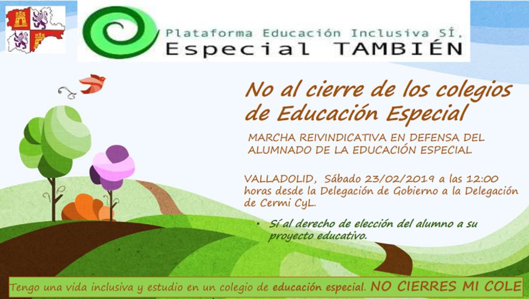 Las AMPAS de Educación Especial cargan contra el CERMI que insiste en eliminar estos centros Las AMPAS de Educación Especial cargan contra el CERMI que insiste en eliminar estos centros