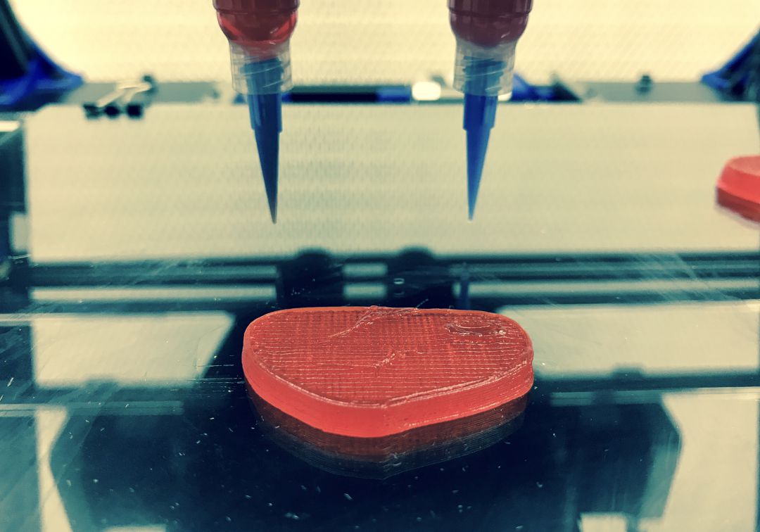 Carne vegetal impresa en 3D