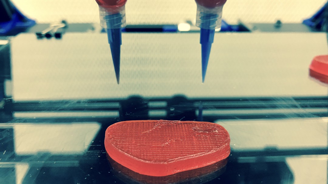 Carne vegetal impresa en 3D