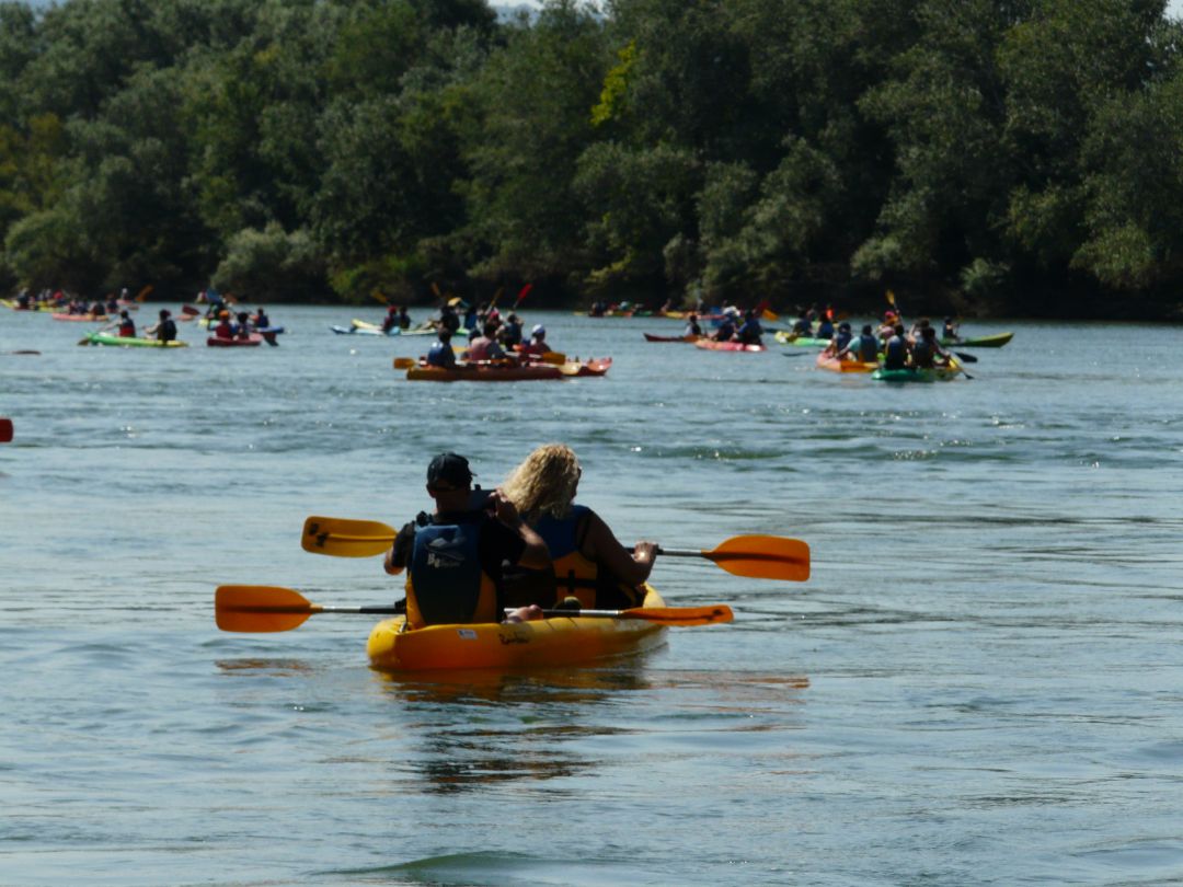 Imatge de la 9ena baixada vogant per l'Ebre organitzada per l'IDECE. Imatge de la 9ena baixada vogant per l'Ebre organitzada per l'IDECE.