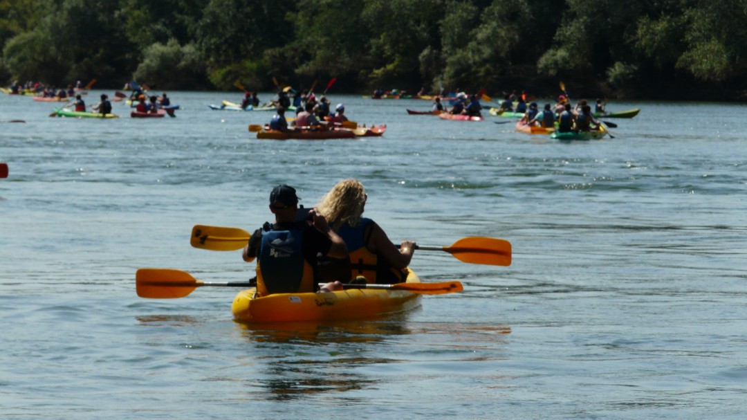 Baixa la navegació fluvial pel riu Ebre