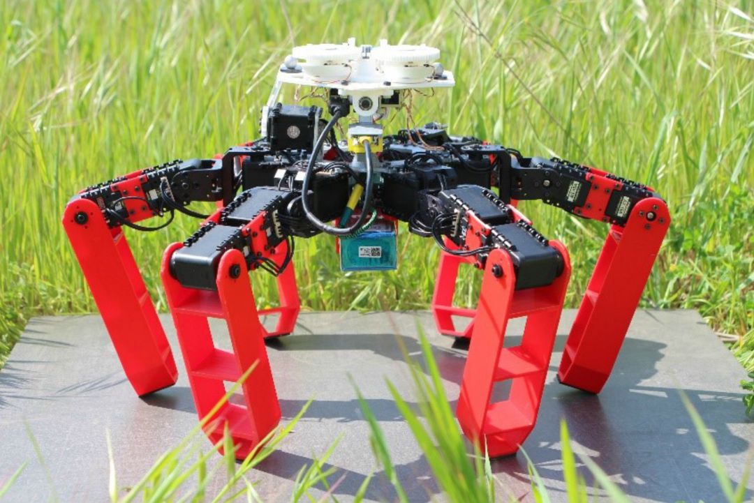 AntBot es el primer robot que anda y se orienta sin la ayuda del GPS. AntBot es el primer robot que anda y se orienta sin la ayuda del GPS.