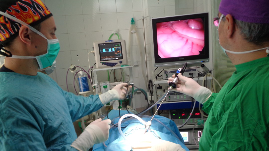 Operaciones menos traumáticas para animales