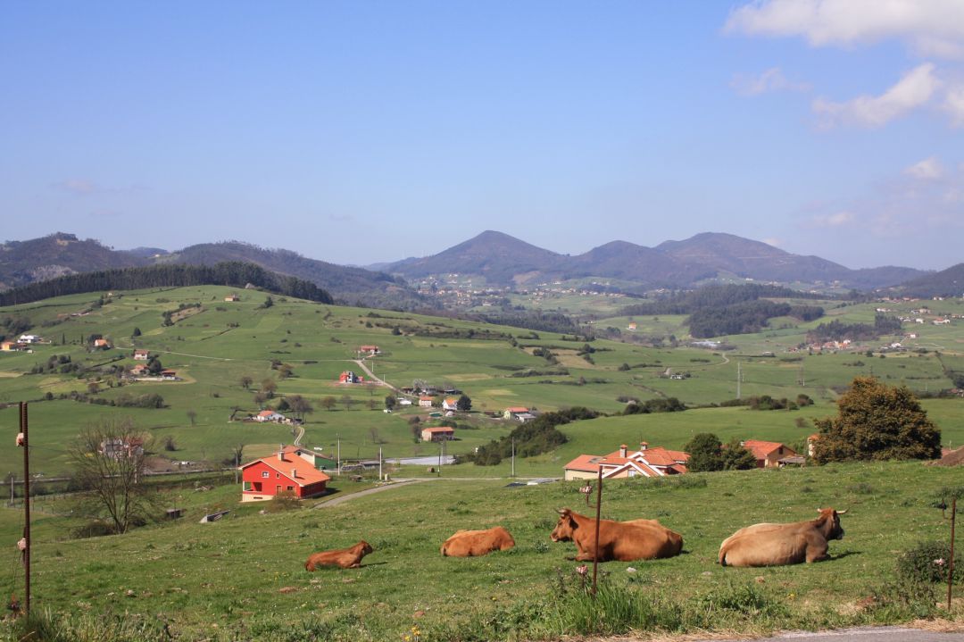 A pesar de su marcado carácter urbano, este concejo posee un destacable paisaje rural A pesar de su marcado carácter urbano, este concejo posee un destacable paisaje rural