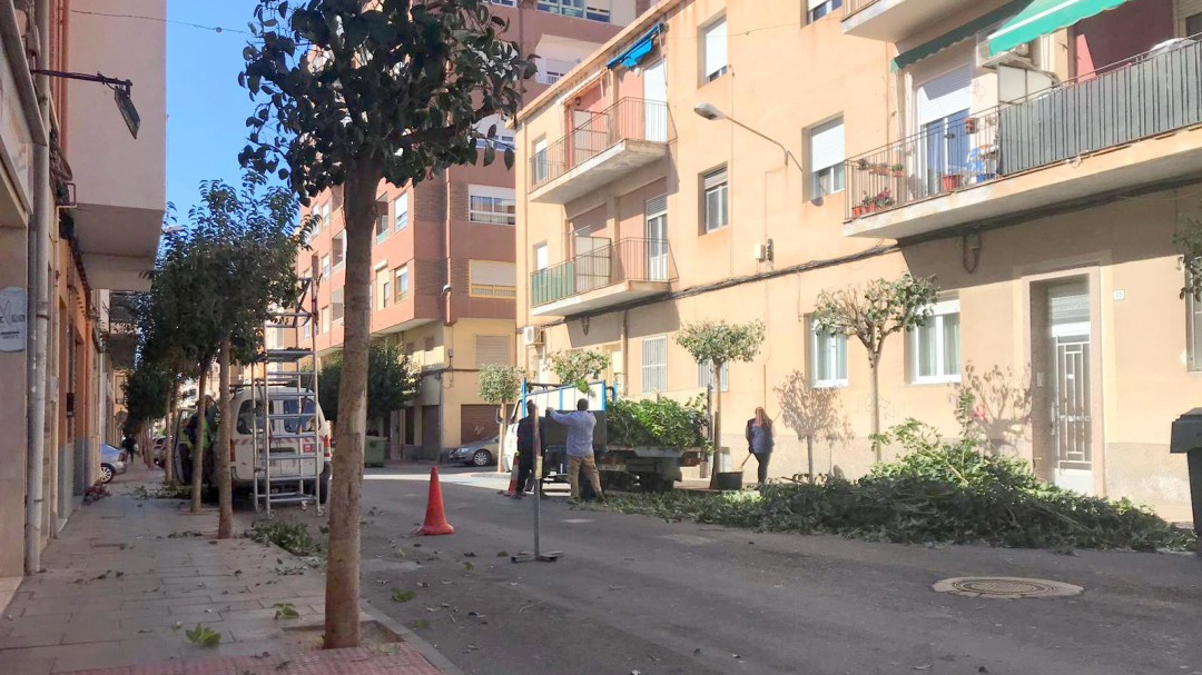 Elda crea un equipo exclusivo para la poda de árboles