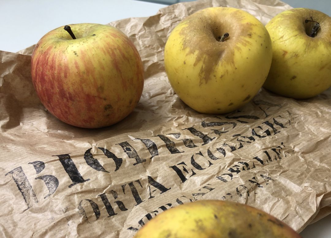 Pomes de la Fundació Drissa Pomes de la Fundació Drissa
