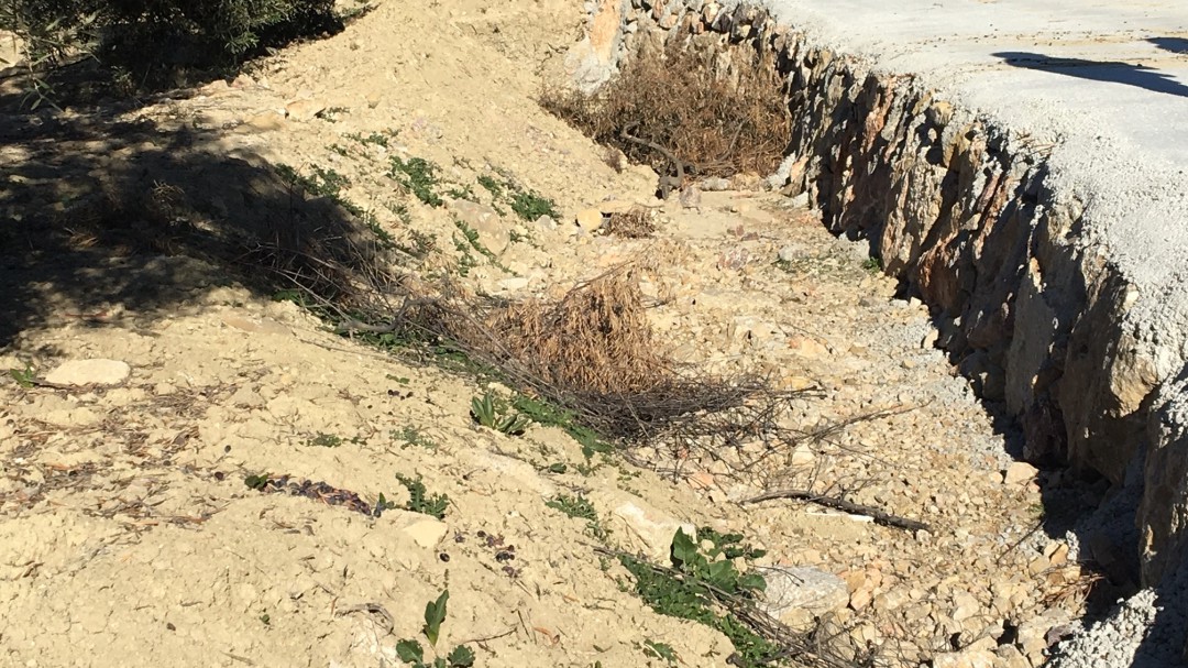 Un millón de euros para caminos agrícolas en Baeza