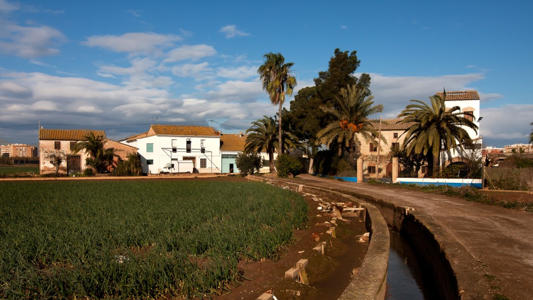 De la huerta valenciana a la Sierra de Irta comiendo en el Cabanyal