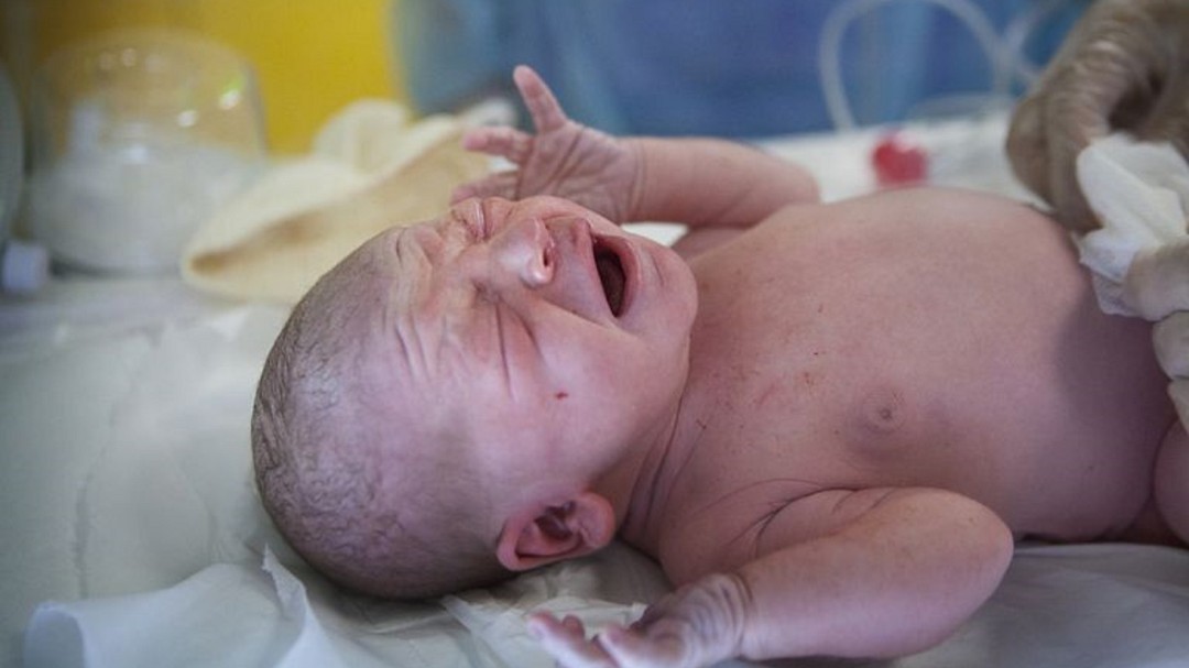 Los beneficios de donar sangre del cordón umbilical a los bancos públicos
