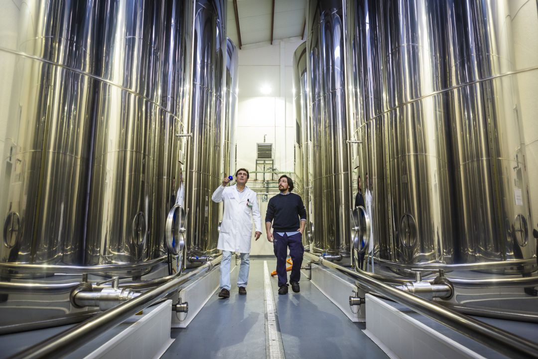 El aceite cordobés Manuel Coca Morán, medalla de oro en un concurso internacional en Los Ángeles El aceite cordobés Manuel Coca Morán, medalla de oro en un concurso internacional en Los Ángeles