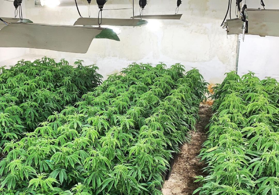 Desmantelan una plantación de marihuana en un zulo excavado en un bloque de viviendas