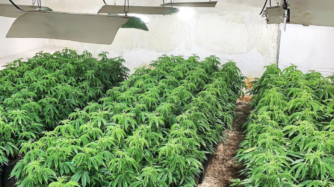 Desmantelan una plantación de marihuana en un zulo excavado en un bloque de viviendas