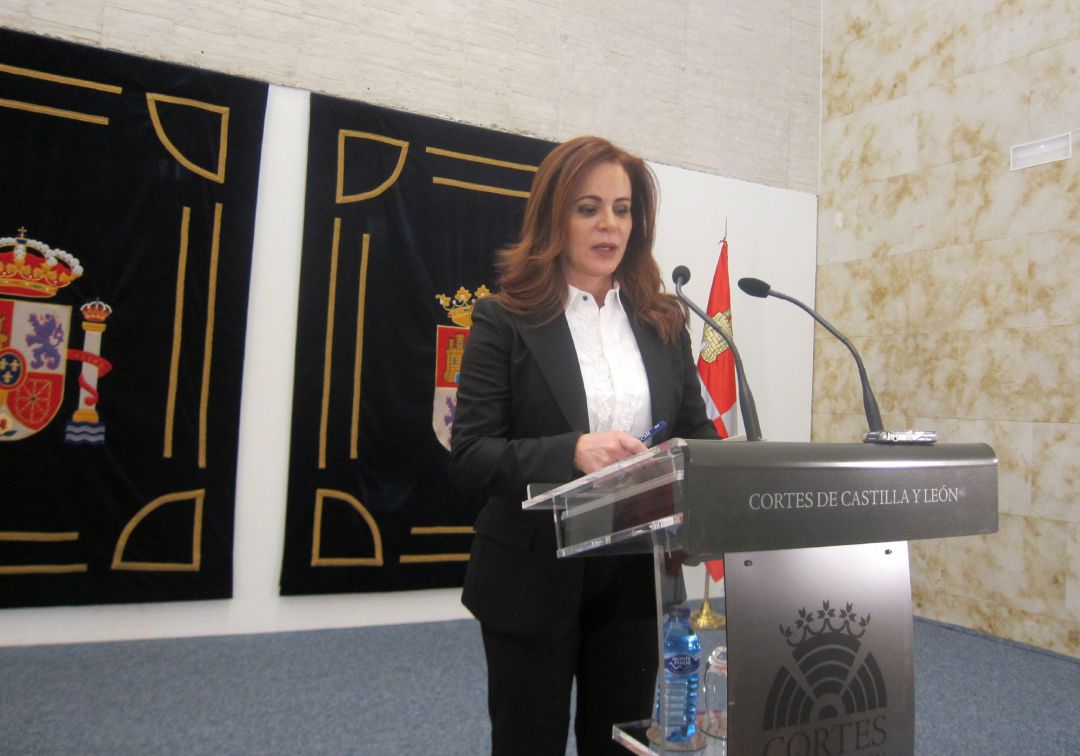 Silvia Clemente dimite de todos sus cargos atacando a Fernández Mañueco