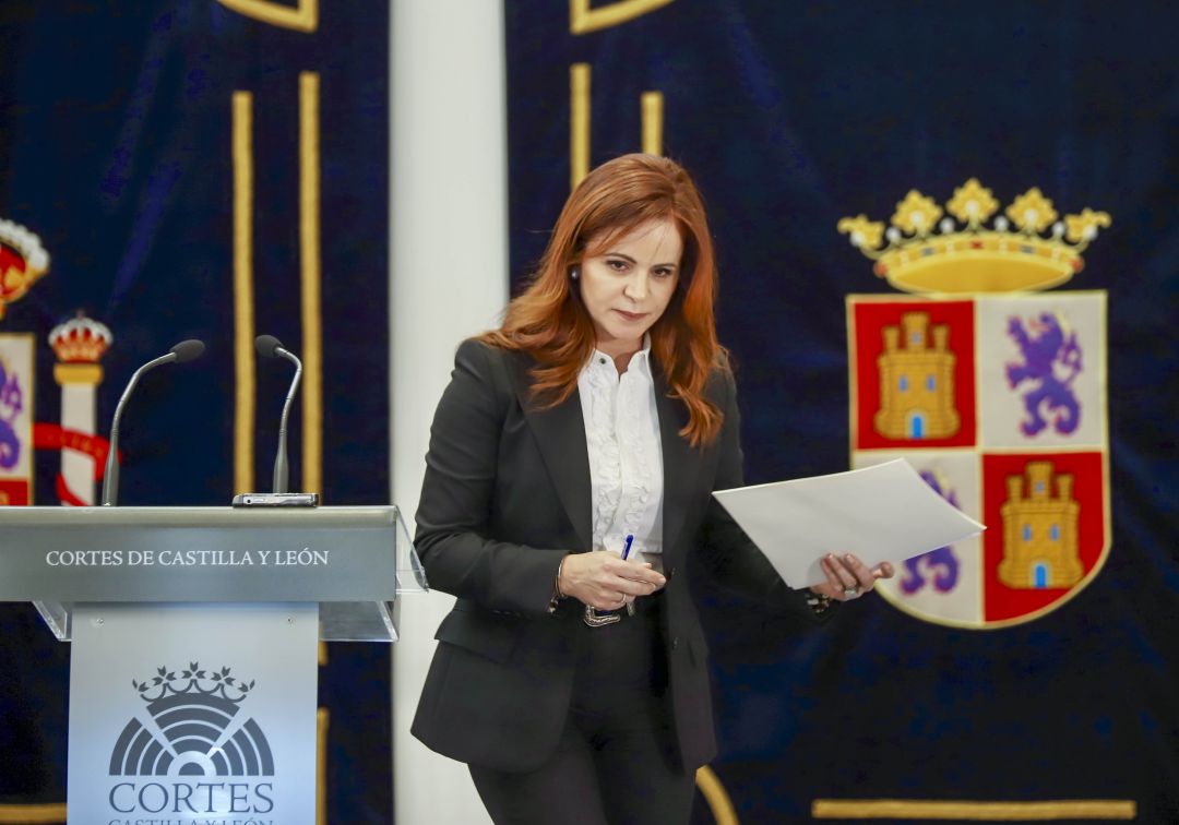 Silvia Clemente dimite