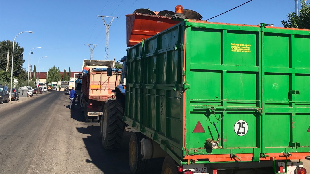 El Ozono llega a las viñas de Valdepeñas