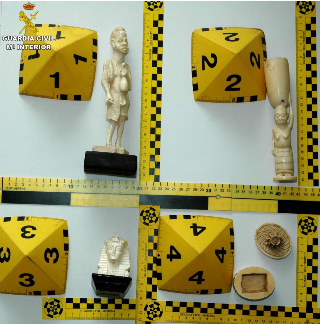 Cuenca: Se investiga a un hombre por intentar vender figuras de marfil de especies protegidas Cuenca: Se investiga a un hombre por intentar vender figuras de marfil de especies protegidas