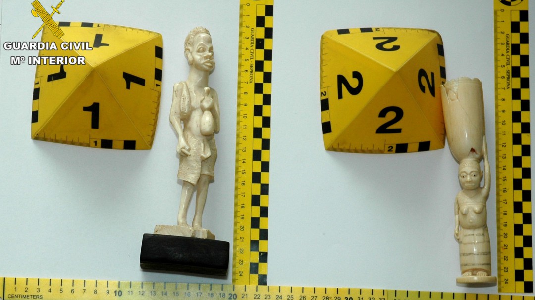 Se investiga a un hombre por intentar vender figuras de marfil de especies protegidas