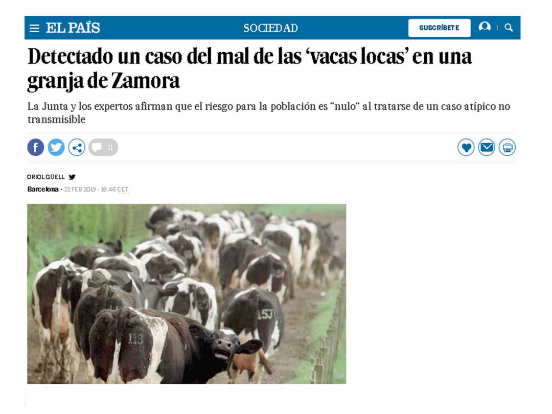 Recorte de la edición digital del diario El País Recorte de la edición digital del diario El País