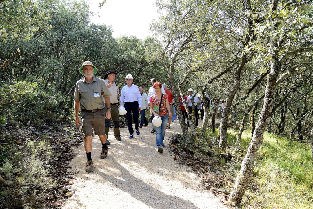 Sendero Atapuerca: Un sendero botánico de 3 kilómetros ayuda a entender el pasado de Atapuerca Sendero Atapuerca: Un sendero botánico de 3 kilómetros ayuda a entender el pasado de Atapuerca
