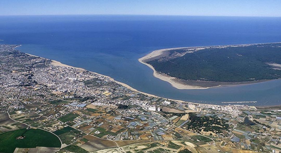 Los ecologistas denunciarán en Europa el mal estado del estuario del Guadalquivir Los ecologistas denunciarán en Europa el mal estado del estuario del Guadalquivir