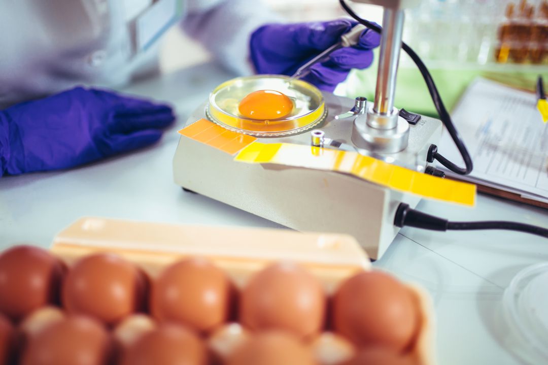 27 personas afectadas nuevo balance del brote de salmonella en Palencia 27 personas afectadas nuevo balance del brote de salmonella en Palencia