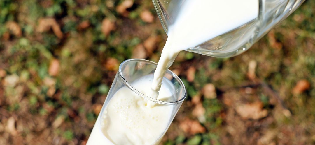 Ganaderos denuncian la presunta venta a pérdidas de leche a través de Amazon Ganaderos denuncian la presunta venta a pérdidas de leche a través de Amazon