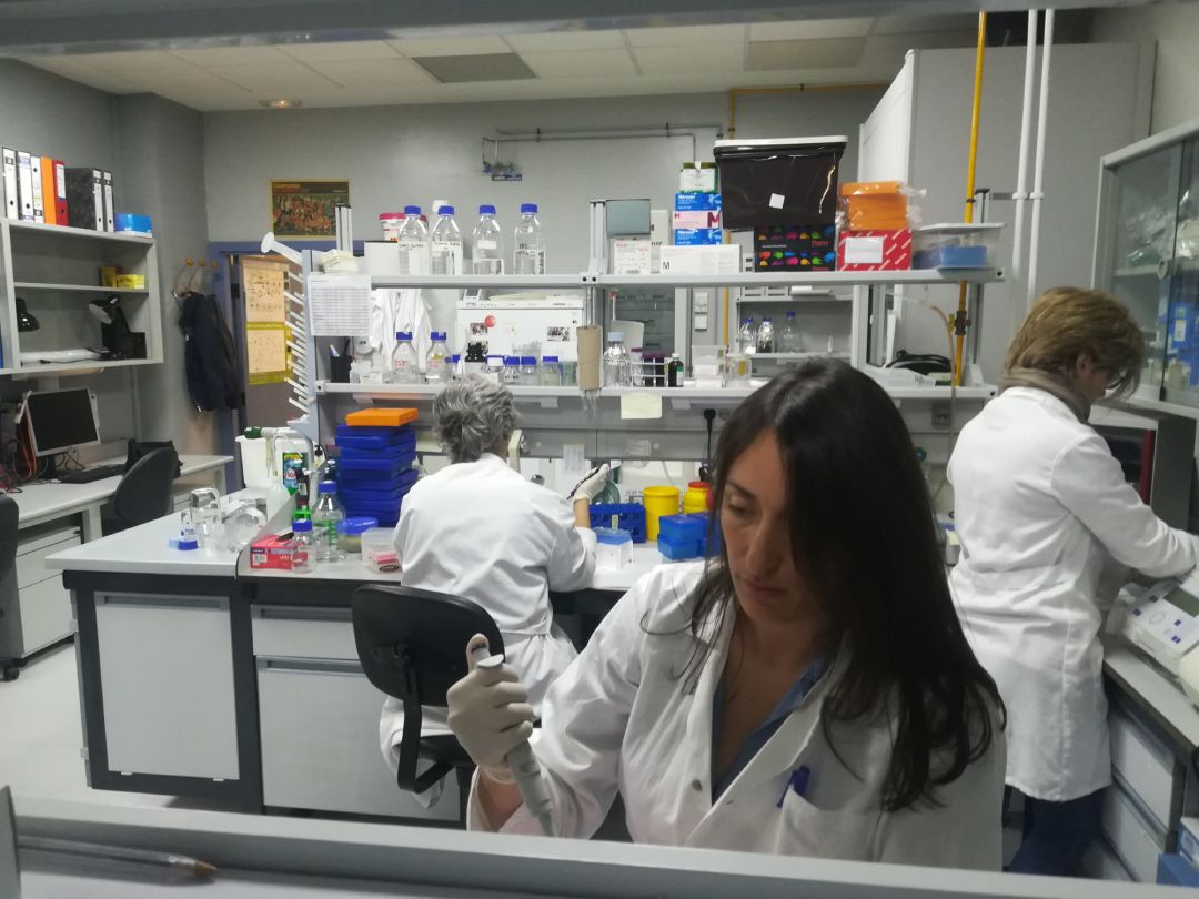 Departamento de investigación sobre cáncer infantil. Departamento de investigación sobre cáncer infantil.