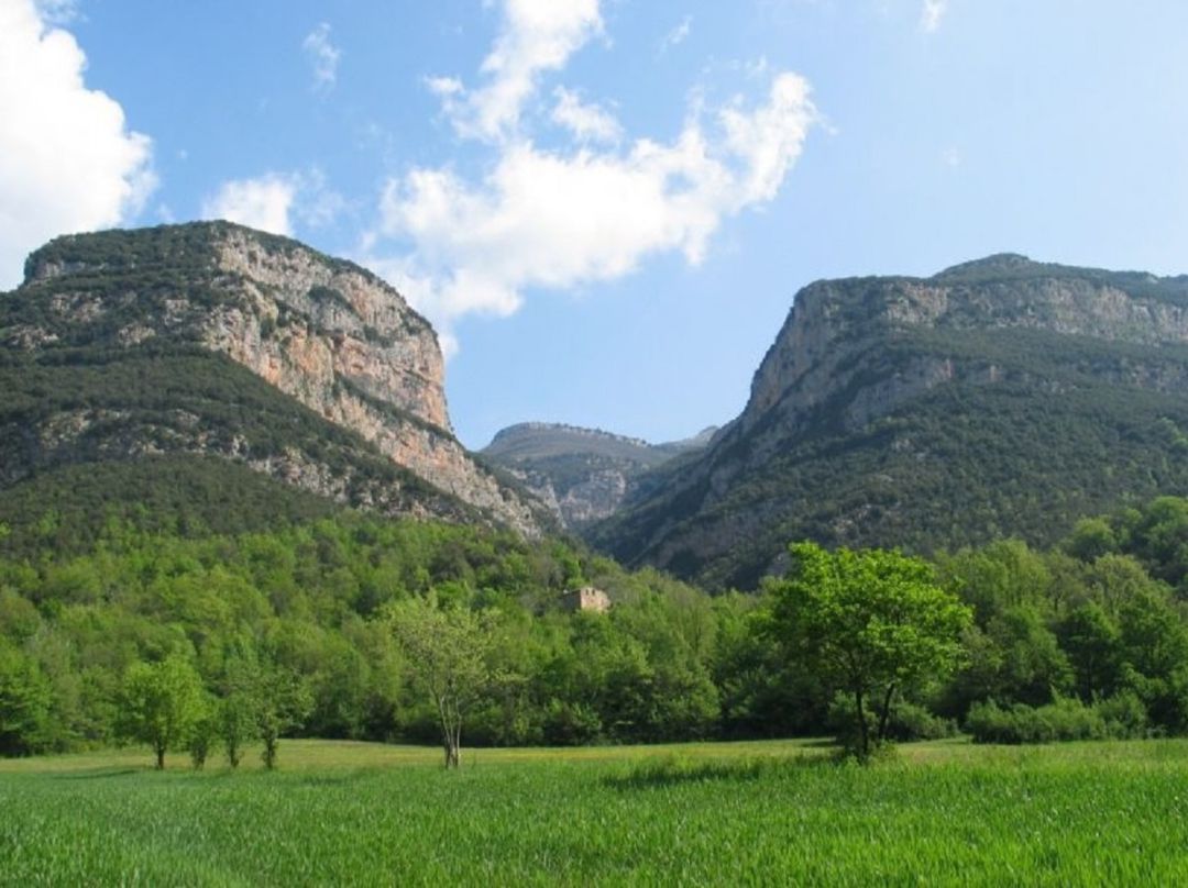 Un espai de l'Alt Natural Un espai de l'Alt Natural