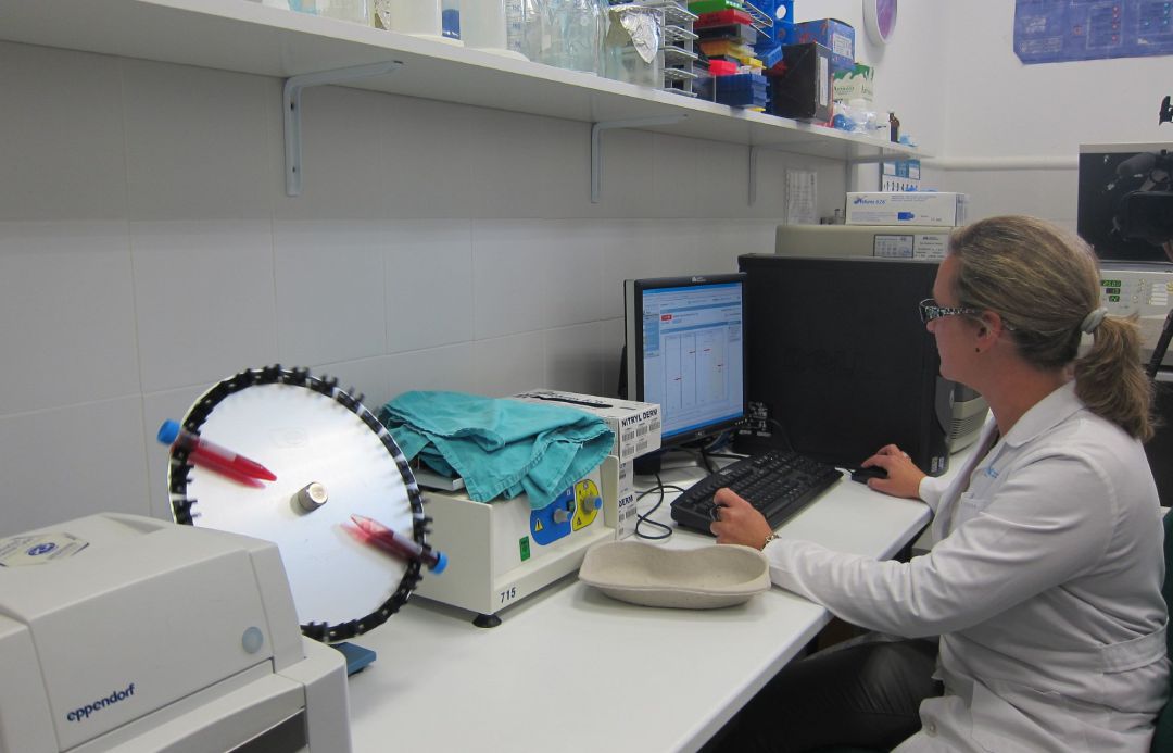 Las mujeres desempeñan el 41% de los puestos directivos en la industria farmacéutica, según Farmaindustria Las mujeres desempeñan el 41% de los puestos directivos en la industria farmacéutica, según Farmaindustria