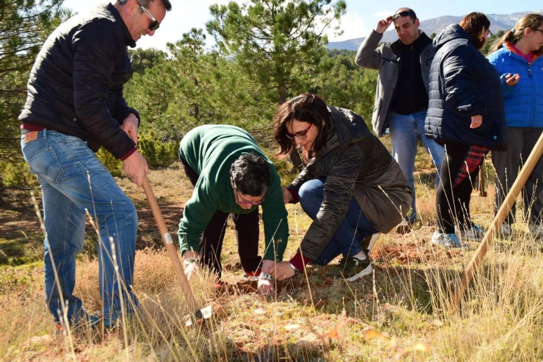 Jornada de reforestación en la Sierra de Baza Jornada de reforestación en la Sierra de Baza