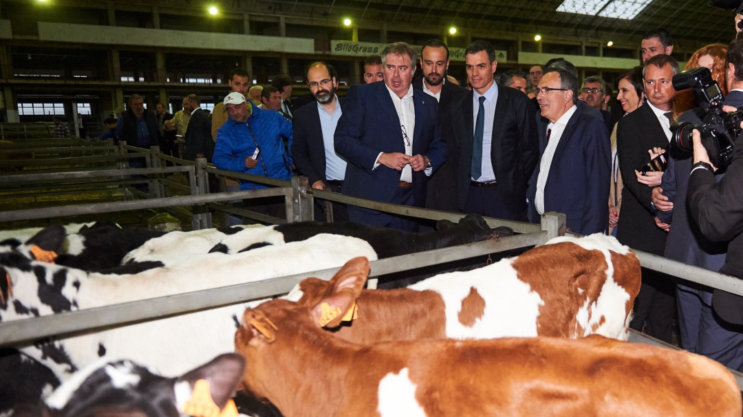Pedro Sánchez en Cantabria