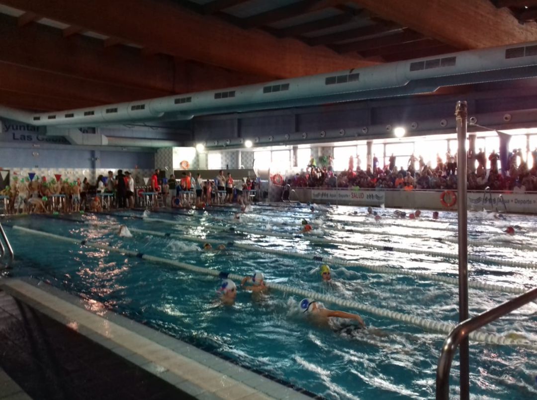 Jornadas de natación en la piscina de Las Gabias (Granada) Jornadas de natación en la piscina de Las Gabias (Granada)