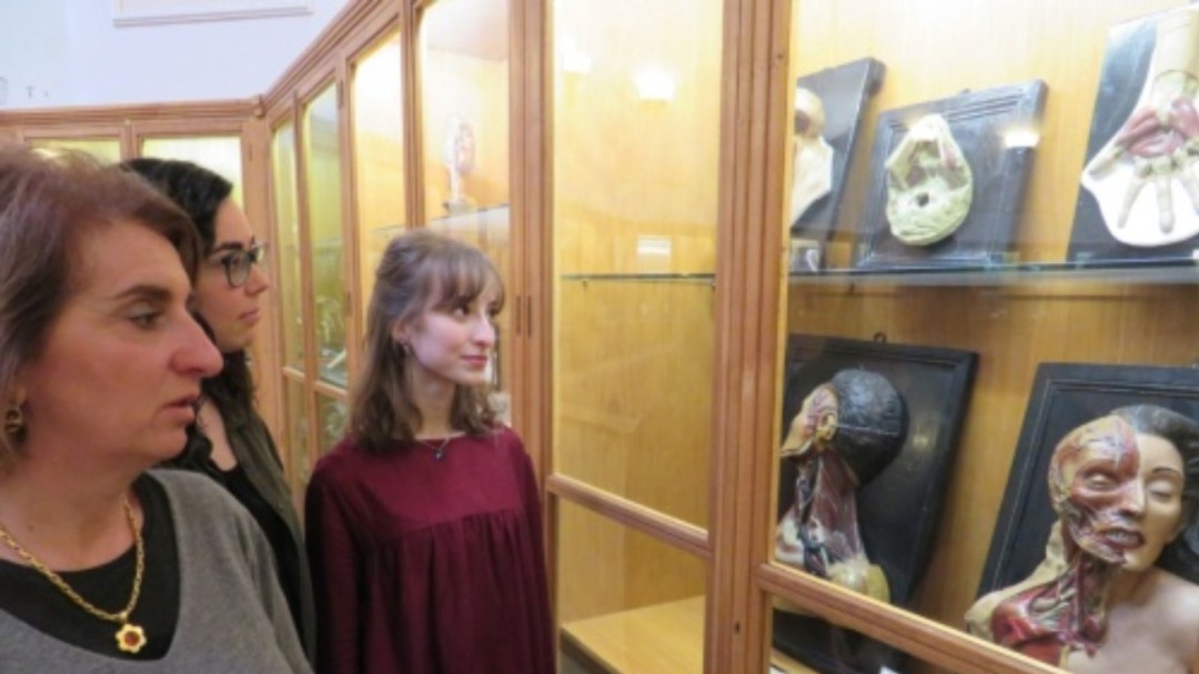 Premiado un estudio de la UVa
