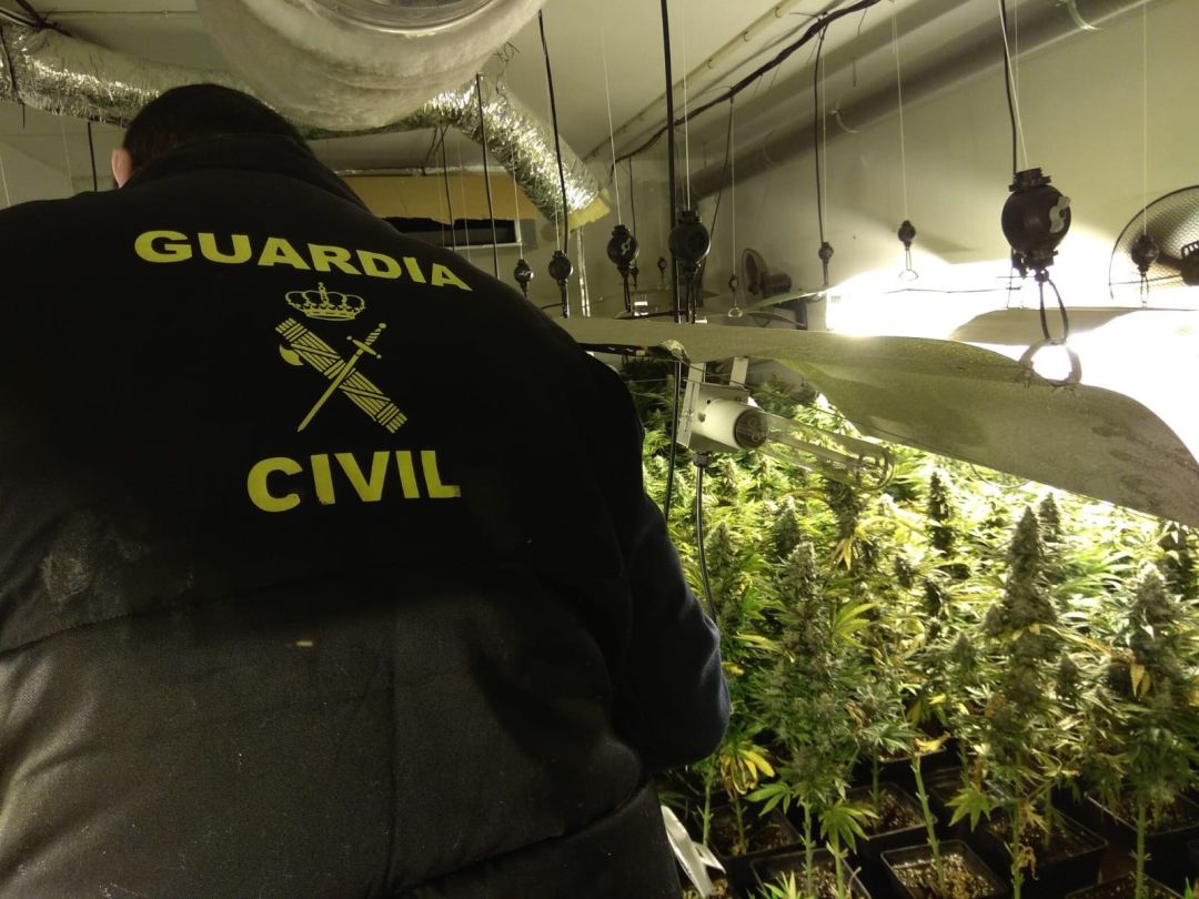 La Guardia Civil interviene una plantación interior de marihuana La Guardia Civil interviene una plantación interior de marihuana