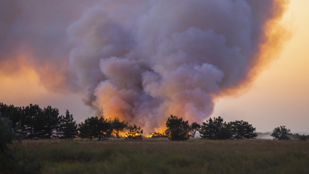 Podemos pide que se excluya a jefes de Medioambiente en campañas de incendios