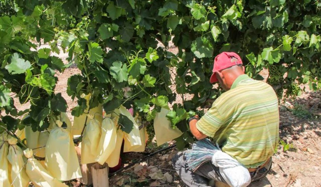La medida puede afectar a 12.000 familias La medida puede afectar a 12.000 familias