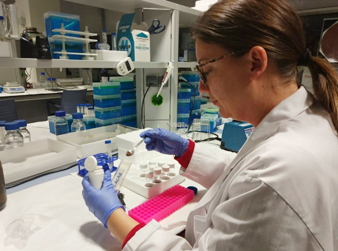La autora principal de este trabajo, María de la Luz Cádiz Gurrea, del departamento de Química Analítica de la UGR y el Centro de Investigación y Desarrollo del Alimento Funcional (CIDAF) La autora principal de este trabajo, María de la Luz Cádiz Gurrea, del departamento de Química Analítica de la UGR y el Centro de Investigación y Desarrollo del Alimento Funcional (CIDAF)