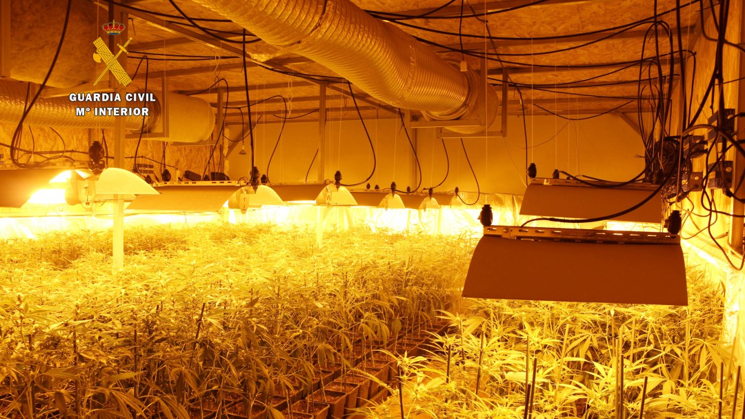 Golpe al narcotráfico: cae la mayor plantación de marihuana en Cantabria