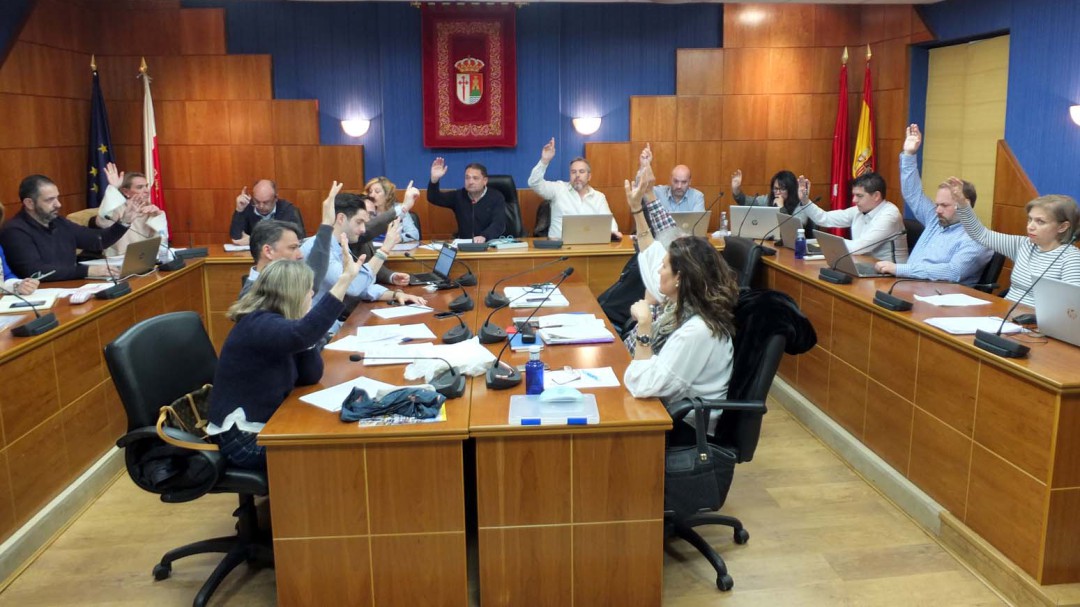 El Pleno municipal aprueba medidas de apoyo a las pequeñas librerías