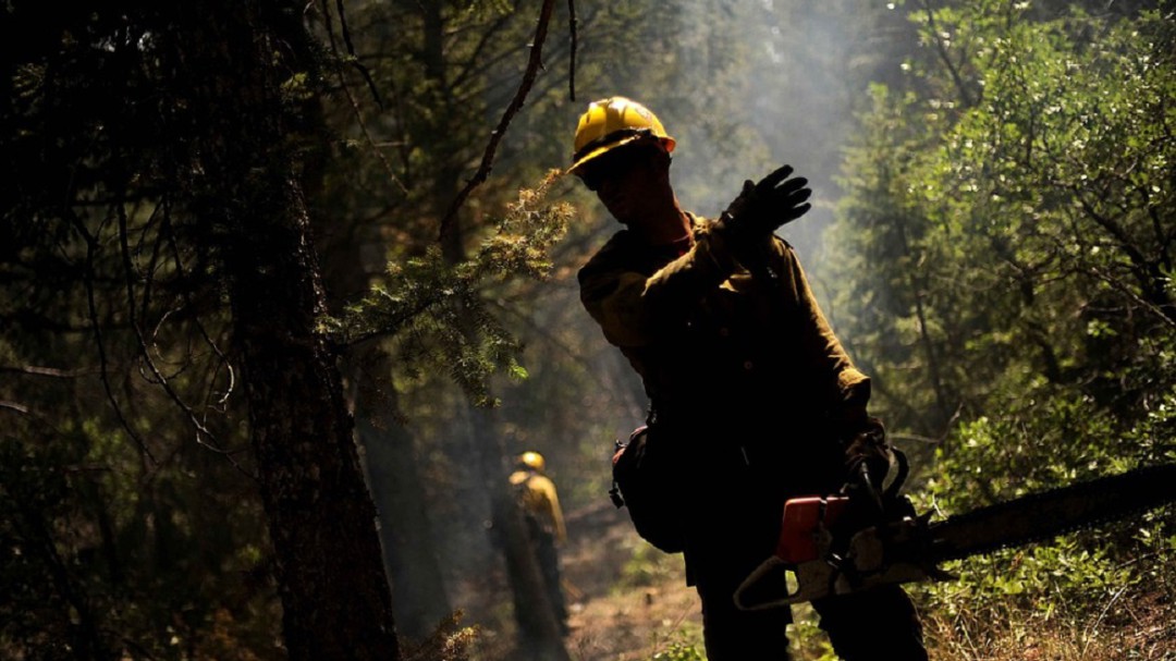 Fallece un trabajador forestal en Muxika