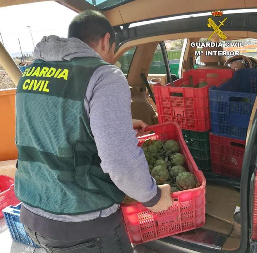 La Guardia Civil decomisando las alcachofas sustraídas La Guardia Civil decomisando las alcachofas sustraídas