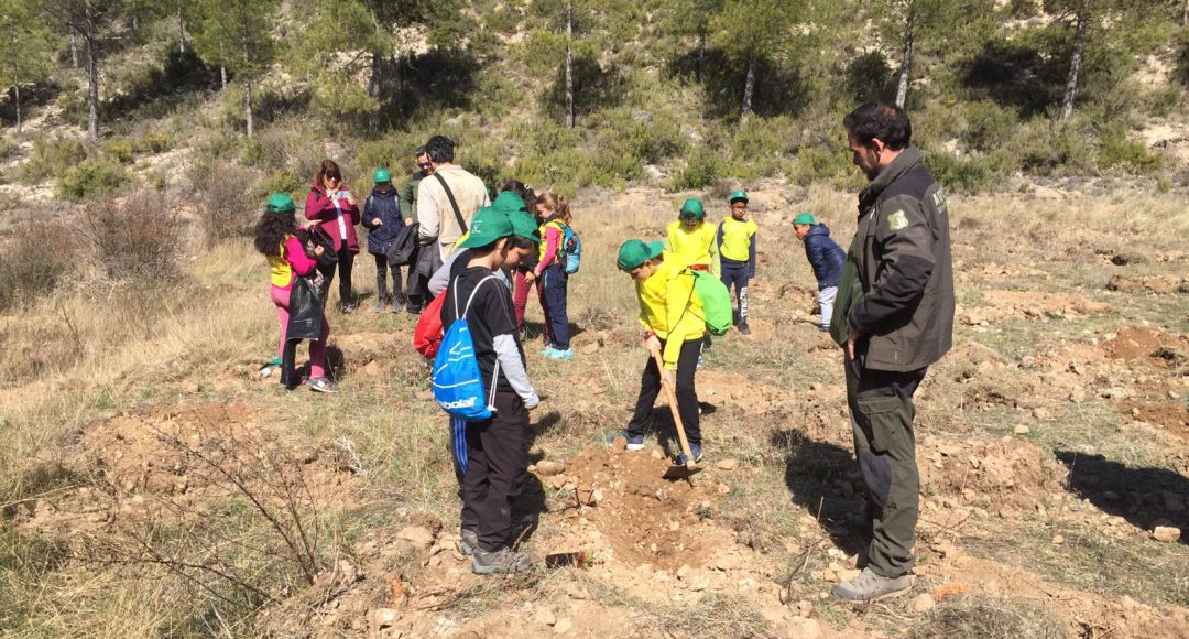 Celebran el Día Forestal plantando 500 árboles en el Camino de San Isidro Celebran el Día Forestal plantando 500 árboles en el Camino de San Isidro